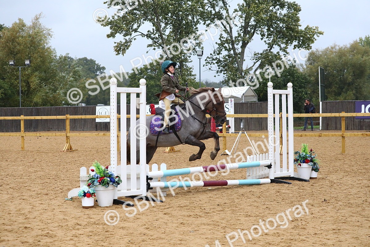 SBM_71484 - J4 - Mini Tour Junior Pony 45cm Championship