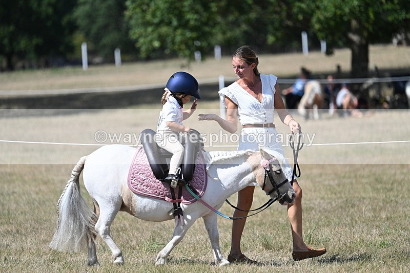 WJ7_1227 - Class 41 Prettiest Mare