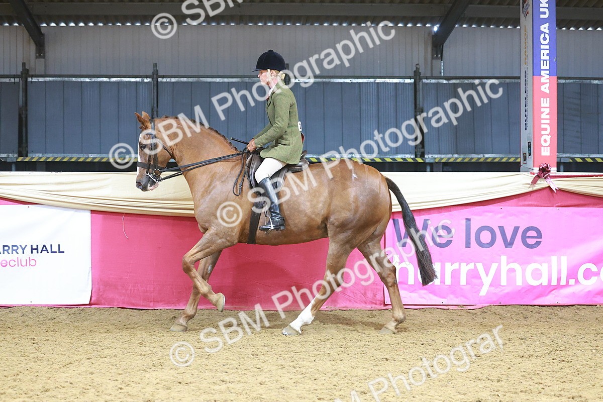 SBM_12480 - Class 103 - HOYS Veteran Qualifier - Ridden Pre Vet