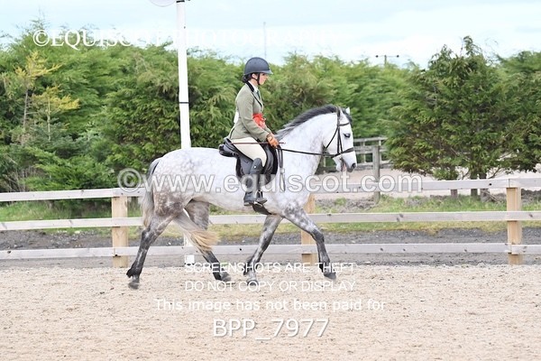 BPP_7977 - SUPREME CHAMPIONSHIP