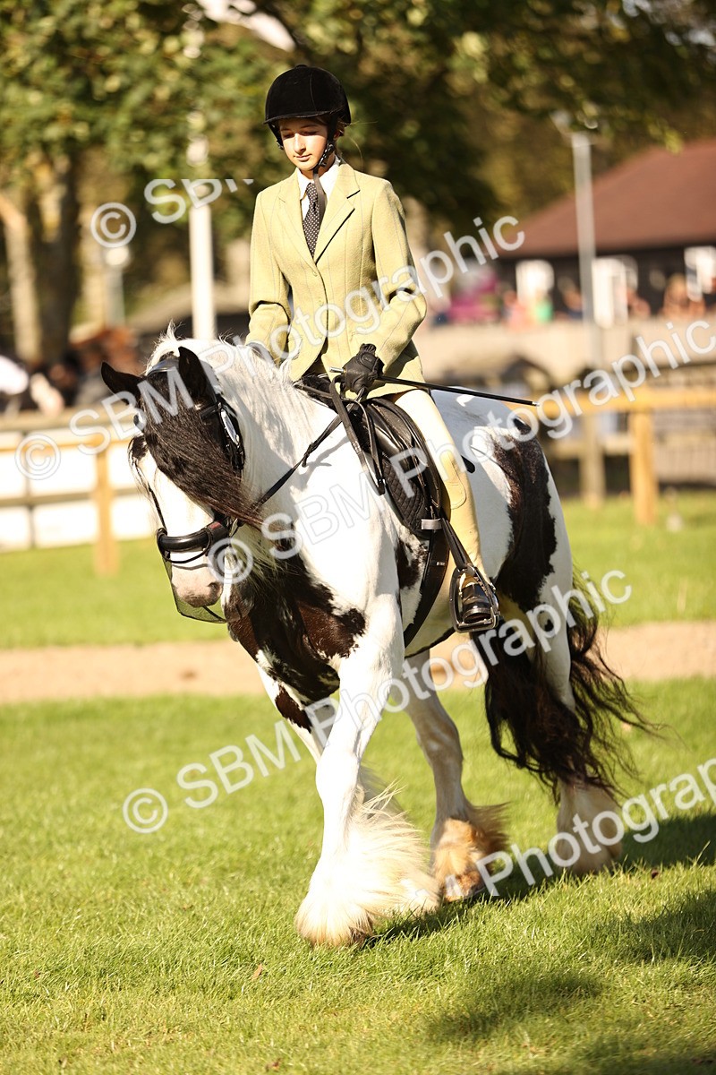 SBM_26437 - S6 - Novice & Newcomers Ridden Horse