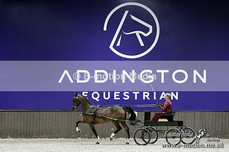 LLEZ4772a - Equestrian