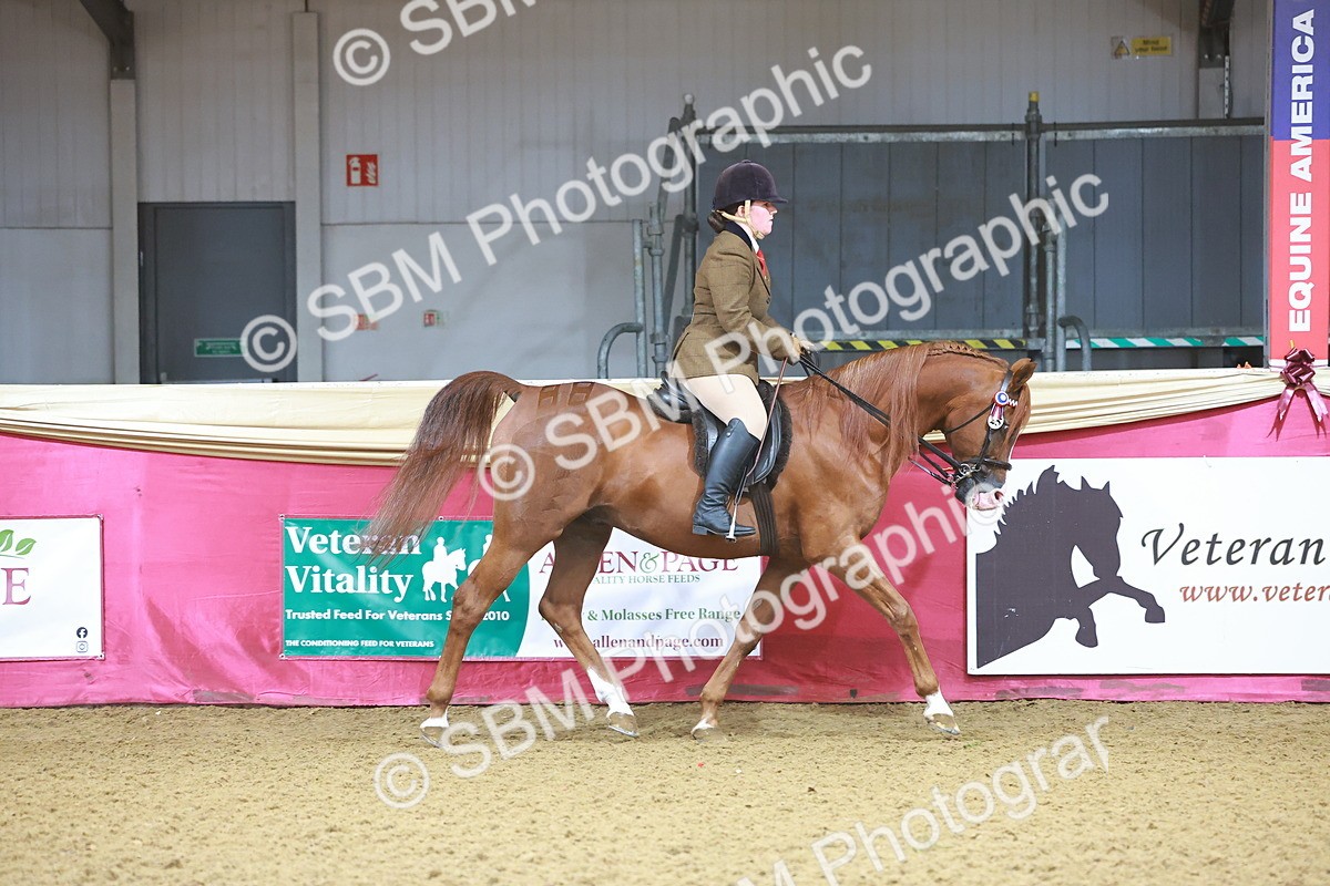 SBM_07586 - Class 101 - HOYS Veteran Qualifier - Ridden Diamond