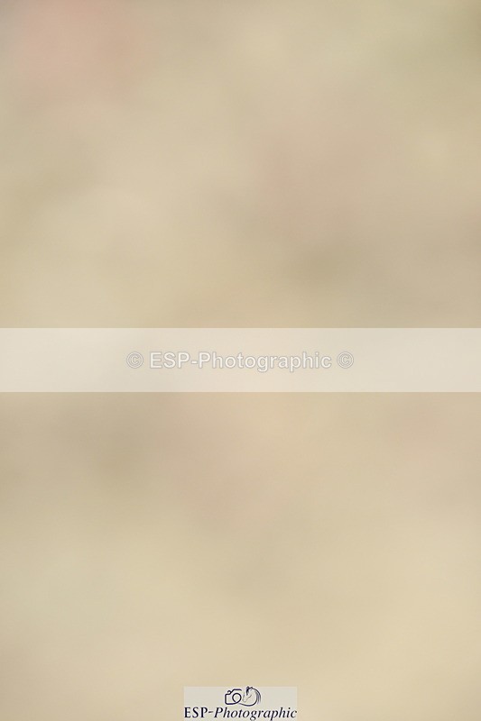 230701A-095814-04646 - Cls 4 Novice 23