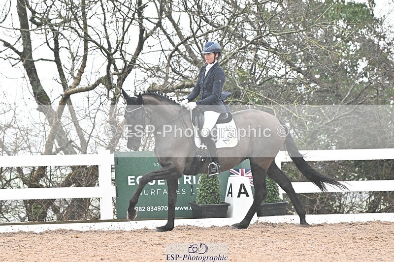 250215-133236-03884 - 165-Elder.Klatzko-Dynasty.Hit