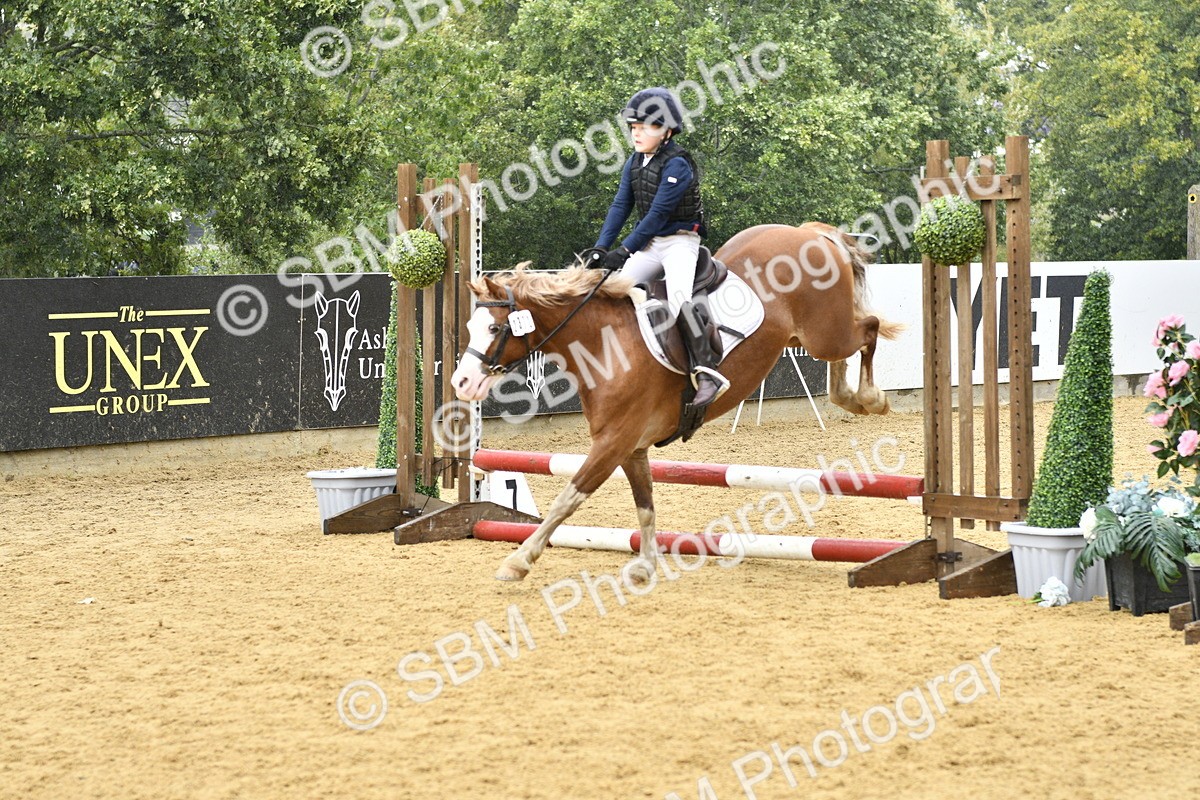 SBM_70934 - J3 - Mini Tour Junior Pony 40cm championship