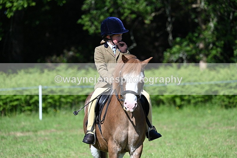WJ7_0510 - Class 8 First Rally Pony