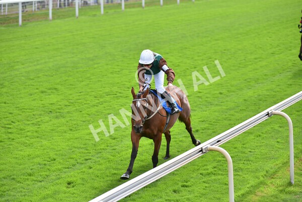 yr04092022p2-52 - 12.50pm. 148cm Open Pony Race