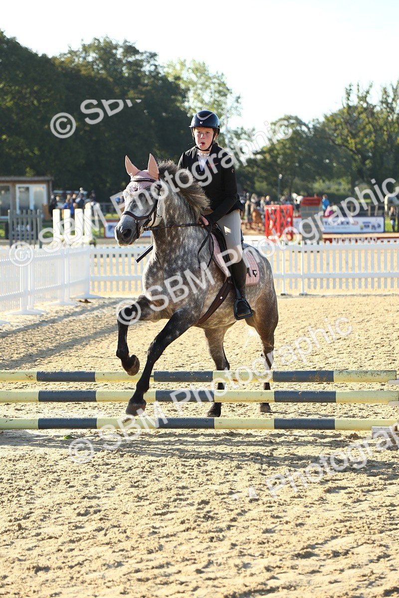 SBM_34963 - J5 - Junior Pony 50cm Championship