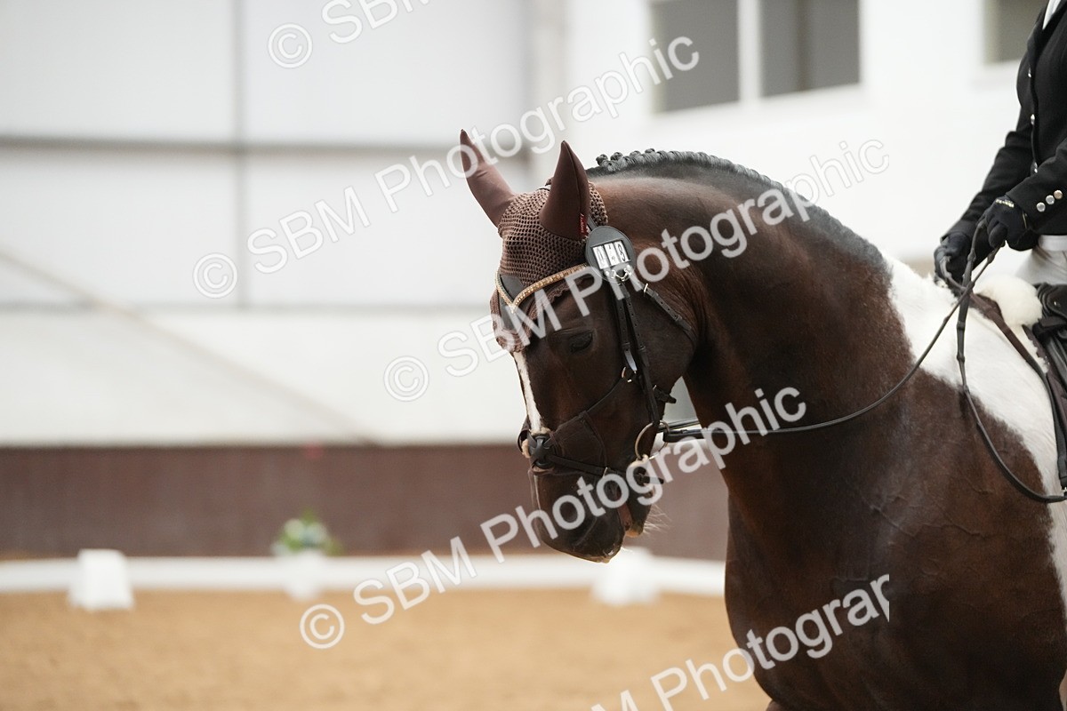 SBM_004346 - Class 11 - Elementary 2 Champs