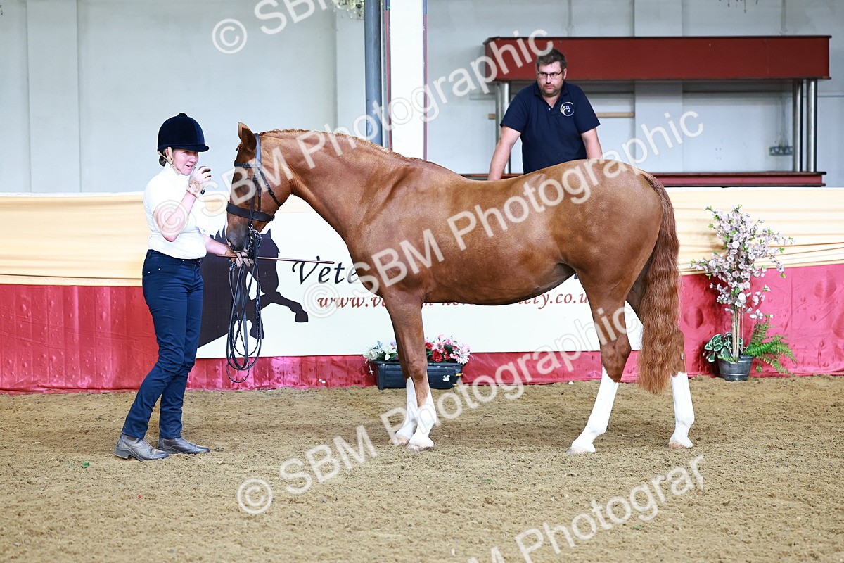 SBM_21730 - Class 901 - Supreme Final - IH  Diamond