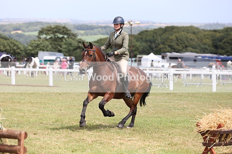 JPP_2044 - Class 19: Working Hunter 60cm