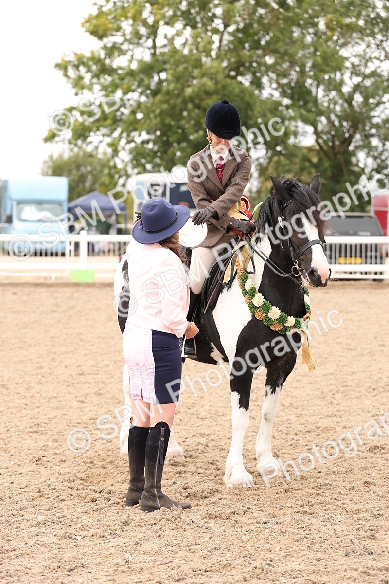 SBM_19728 - Class 216 - Ridden Traditional - Native Cob