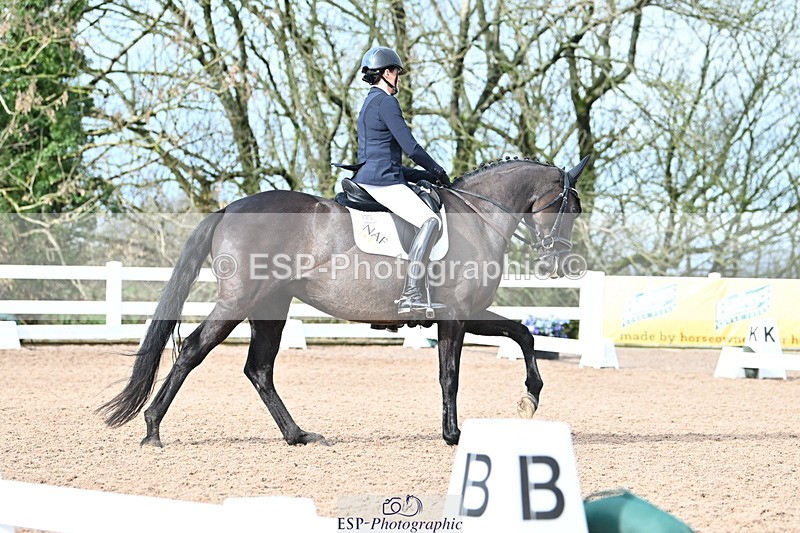 240218A-115750-06932 - 204-Elder.Klatzko-Dynasty.Hit