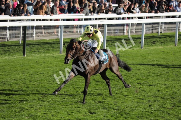 yr08102022r6-28 - Race 6 4.25pm The Watch Racing Online Free With Coral Handicap Stakes