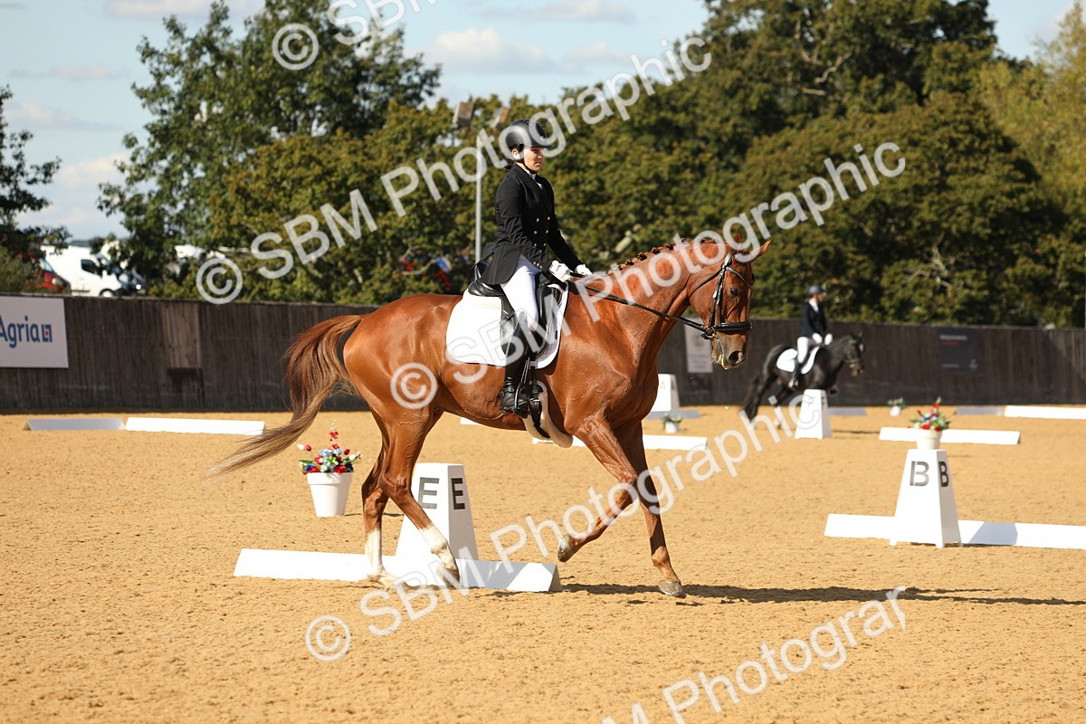 SBM_24618 - D17 - Grand Tour Championship - Novice 27