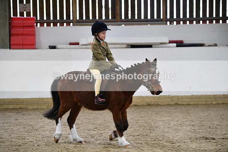WJ5_6981 - Class 10 Childs Pony