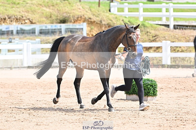 240717A-144635-02279 - Trot Up 2pm to 3pm - This folder is not in time order