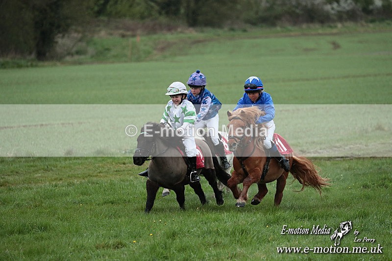 SHETPR 210425 176 - Shetland Ponies Paxford Races 21/04/25