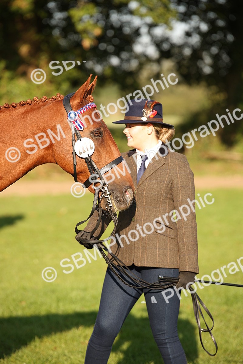 SBM_57577 - S50 - Foreign Breeds In Hand