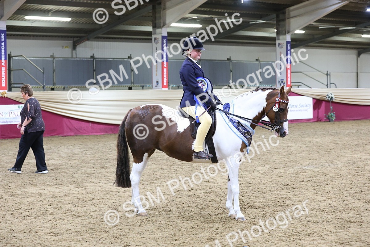 SBM_20257 - Class D - Grass Roots Champ