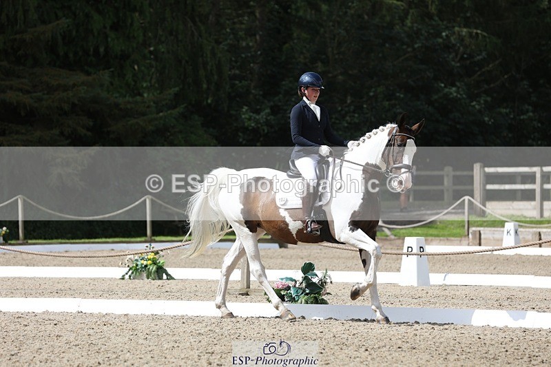 230812-112644-03769 - Cls 5 Novice Bronze 11.15 to 12.50 break