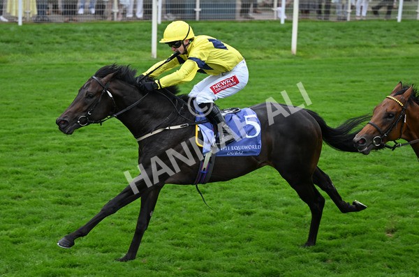 220825-116 Lifeplan - Race 3 3.00pm Al Basti Equiworld Dubai Gimcrack Stakes