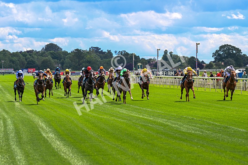 120626-Race 2-Everatease-0083 - Race 2 14.25pm Constant Security Keeping York Racegoers Safe Rous Selling Stakes