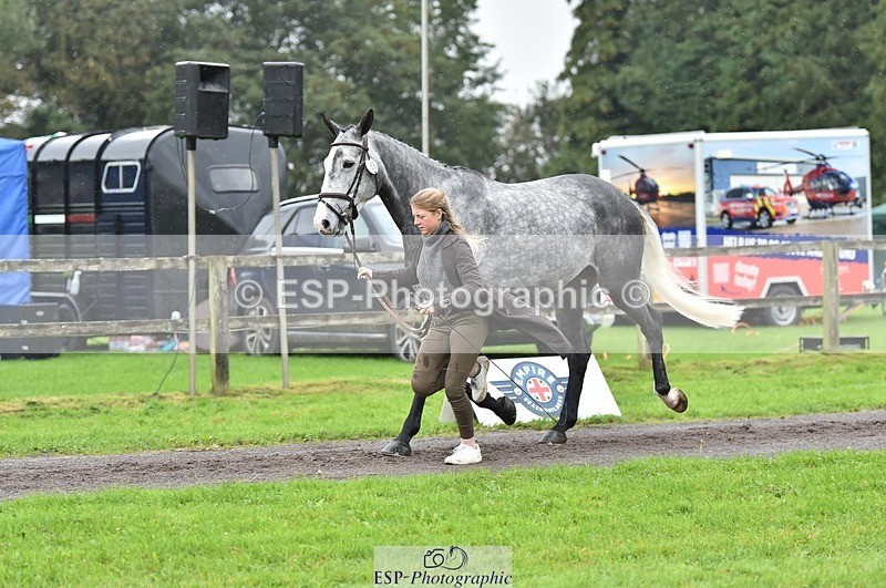 231018-124848-00538 - 068-DASSETT.PREMIER-Kate.Rocher-Smith-TrotUp