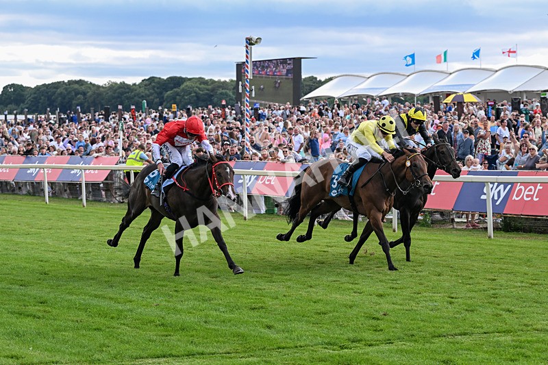 250726-Race 5-Rogue Jewel-7567 - Race 5 15.42pm Sky Bet Price Boosts EBF Fillies' Novice Stakes