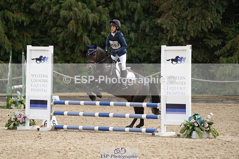 250824A-121433-35882 - 2053-Ava.Sampson-Chameleon