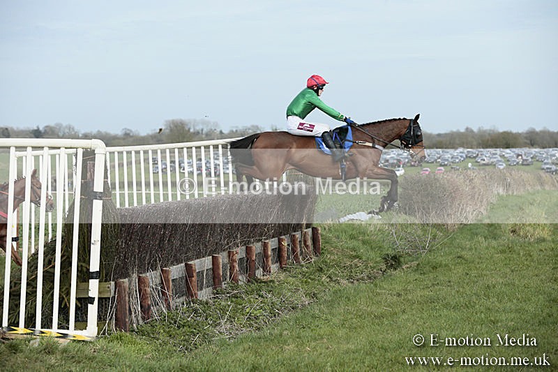 PtP 230319 336 - VWH Hunt Siddington Point-to-Point Racing 23/03/19