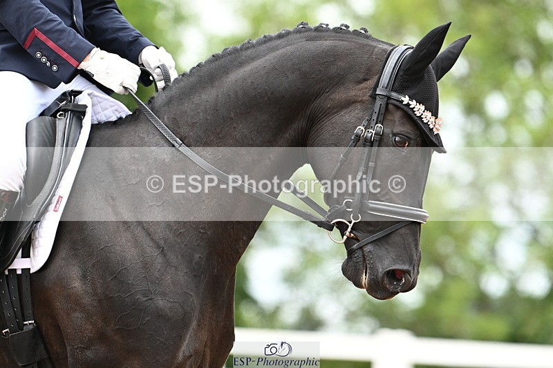 240815A-145643-02125 - 171-Martyn.Humphrey-Isabeau.May