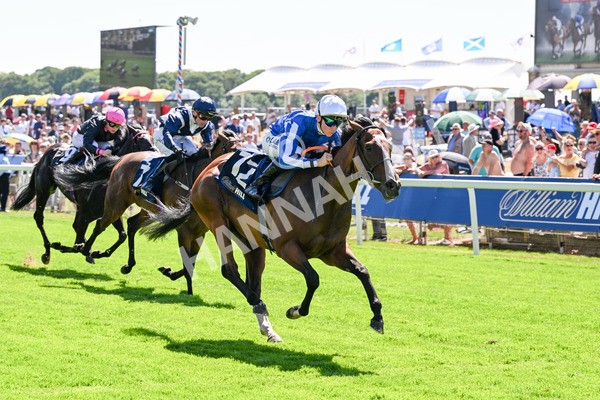 110725-Race 2-Sayidah Dariyan-0230 - Race 2 2.45pm William Hill Summer Stakes
