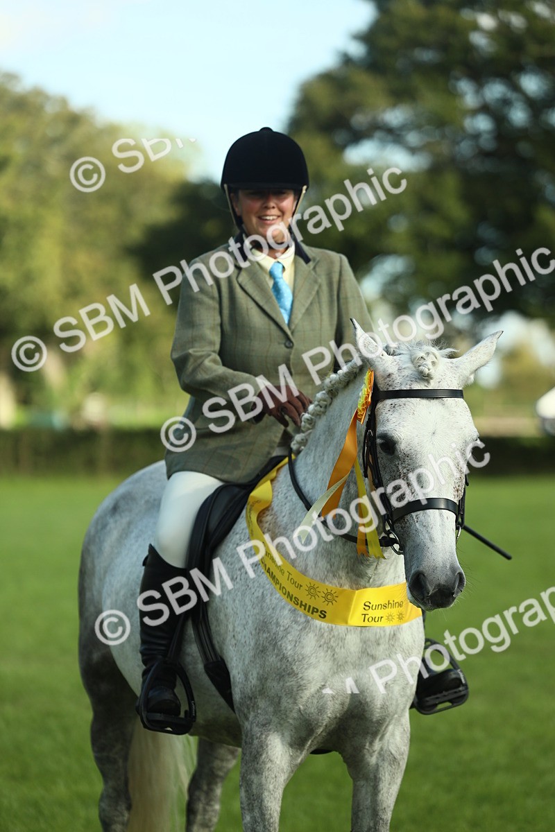 SBM_49918 - S32 - Novice & Newcomers Working Hunter
