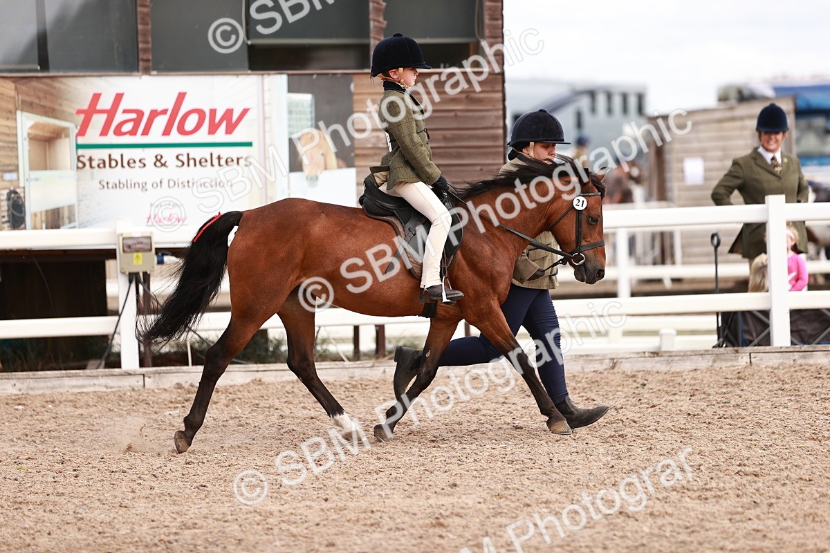 SBM_14391 - Class 409 - Grassroots Ridden - Pony