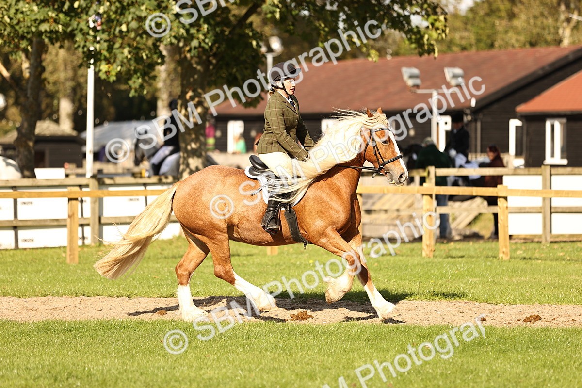 SBM_26411 - S6 - Novice & Newcomers Ridden Horse
