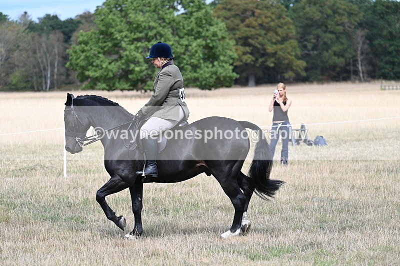 WJ7_5860 - Class 13 Ridden Veterans