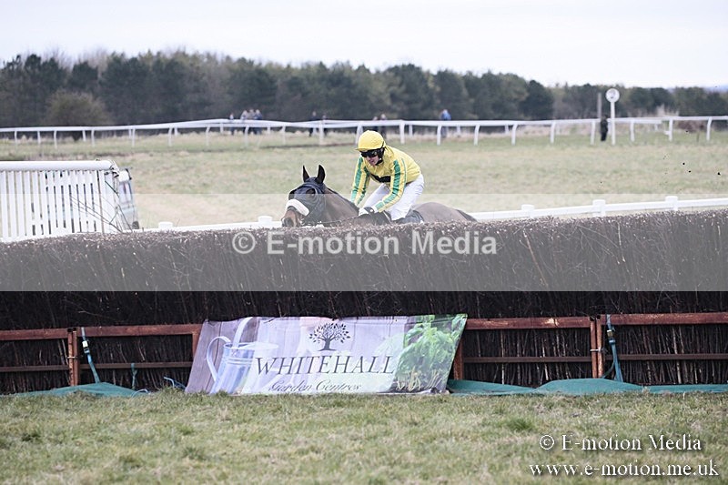 PtP 180218 231 - Combined Services Point-to-Point Larkhill 18/02/18
