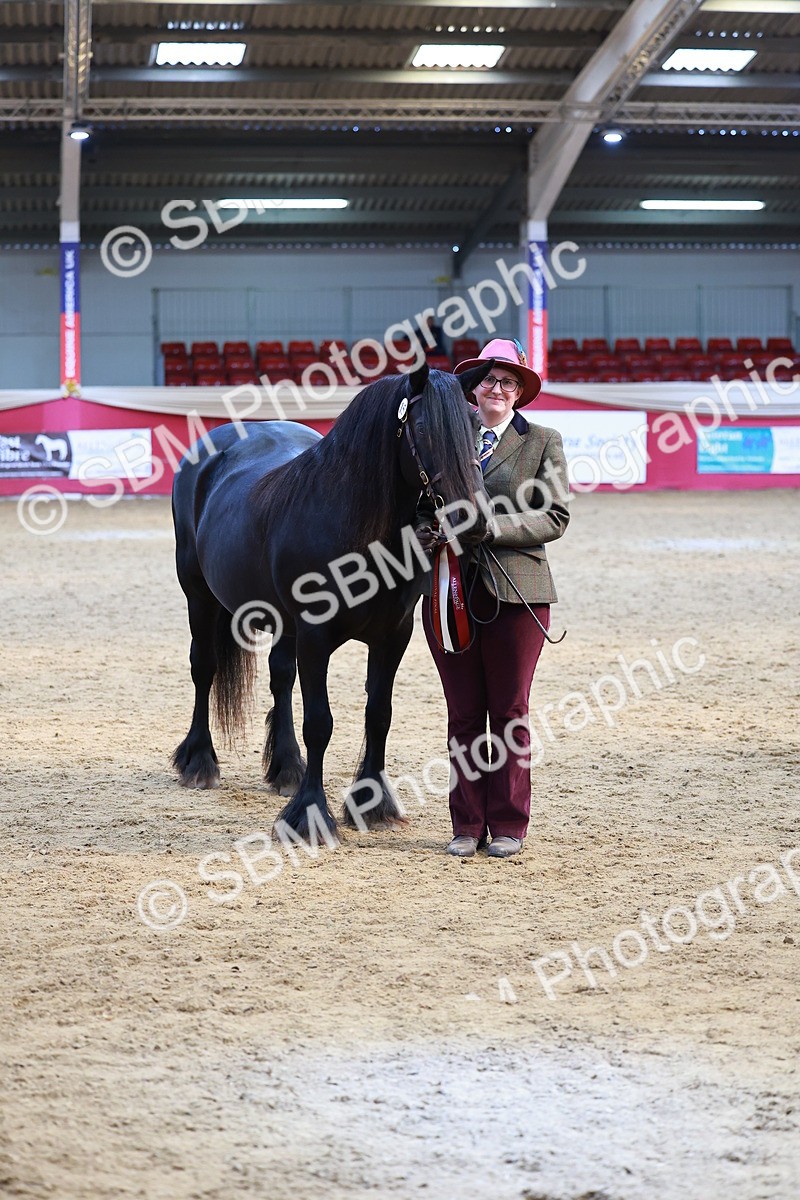 SBM_04333 - Class 9R - IH Pre-Vet