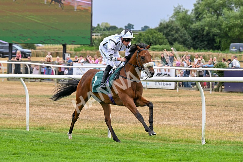 170826-Race 2-Harrys Pop-9186 - Race 2 14.45pm Well-Earned Retirement Neal Kidd Nursery Handicap