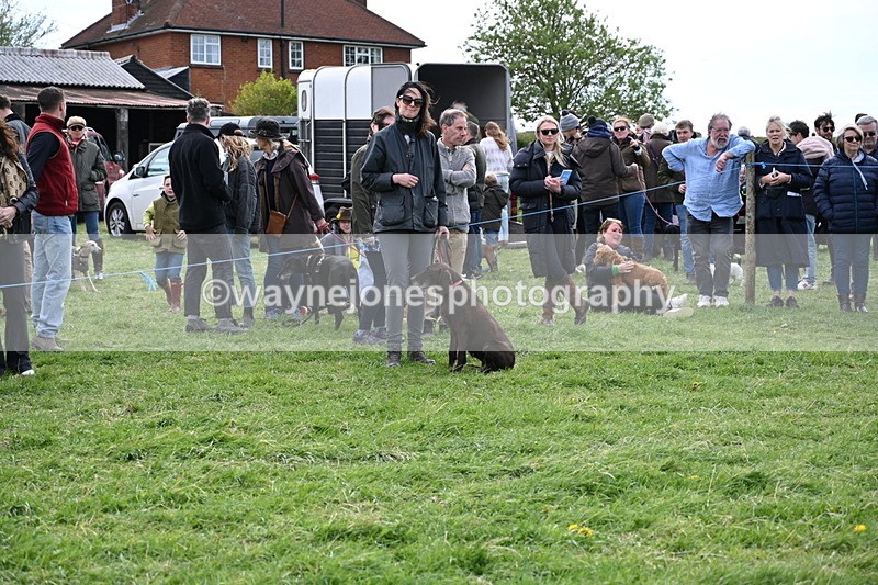 WJ6_8577 - Class 6 Best Rescue