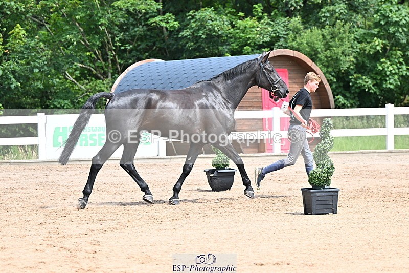 240718A-105246-01140 - Trot Up 12pm to 1pm