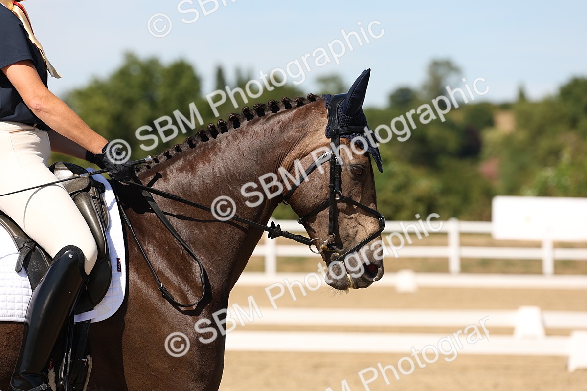 SBM_003718 - Elementary 4