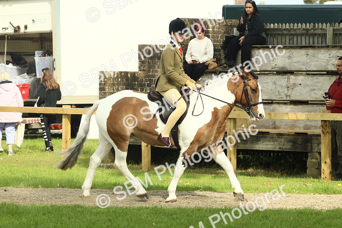 SBM_69024 - S58 - Mini Show Cob Ridden