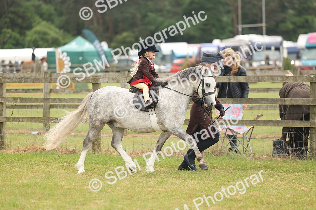 SBM_06833 - Class 74-75 - M&M Lead Rein and First Ridden Pony