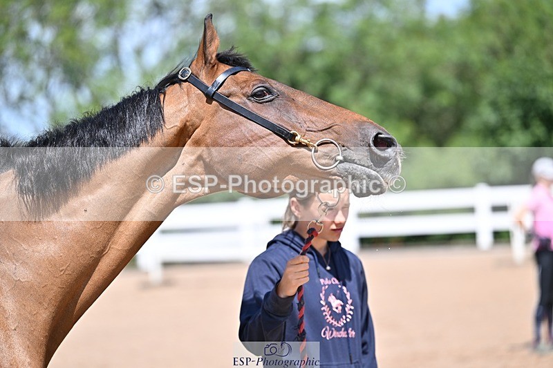 250716-123253-00043 - Trot Up 12.30 to 1.30