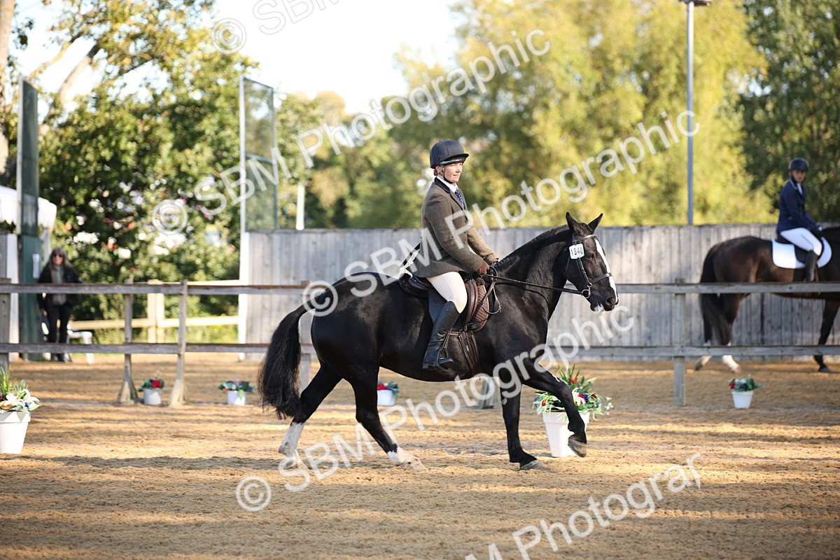 SBM_18318 - D31 - Grand Tour - PYO Open