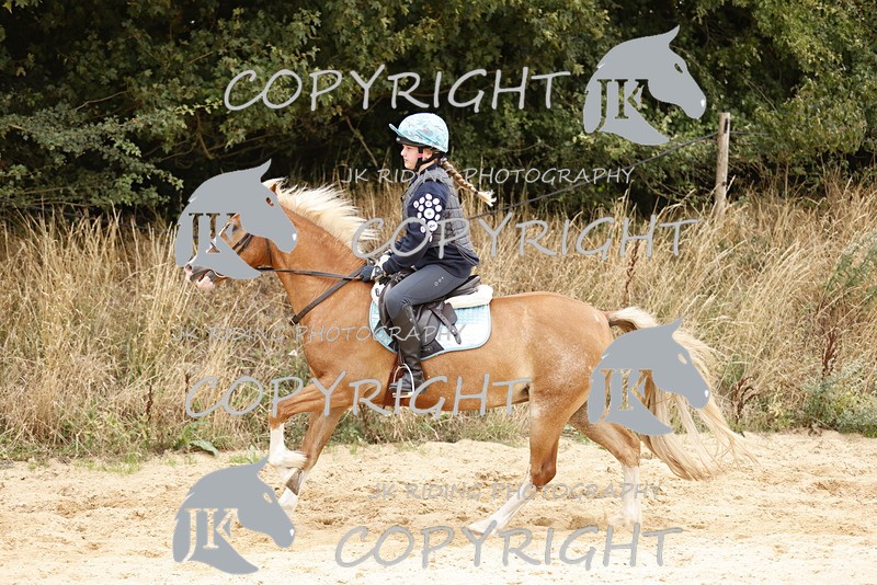 _R6A0935 - Sand arena