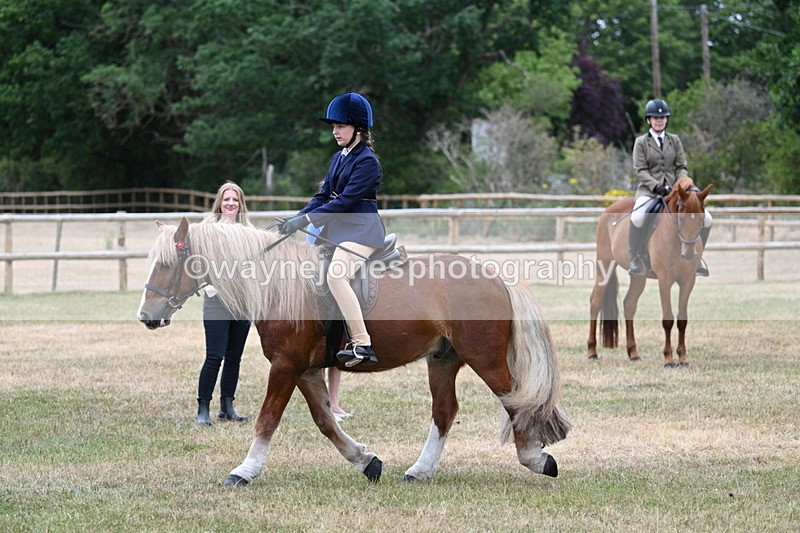 WJ7_0440 - Class 2 Best rider